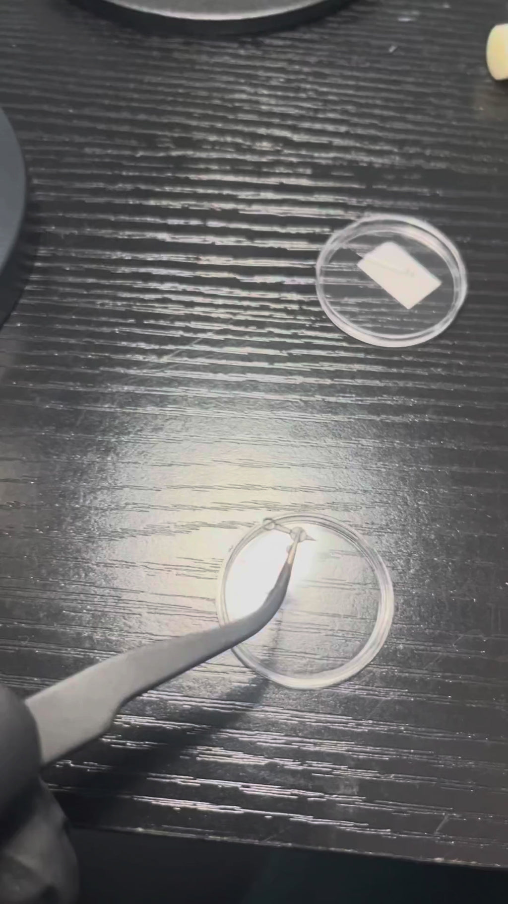 Seikustom L’Abysse Bleu